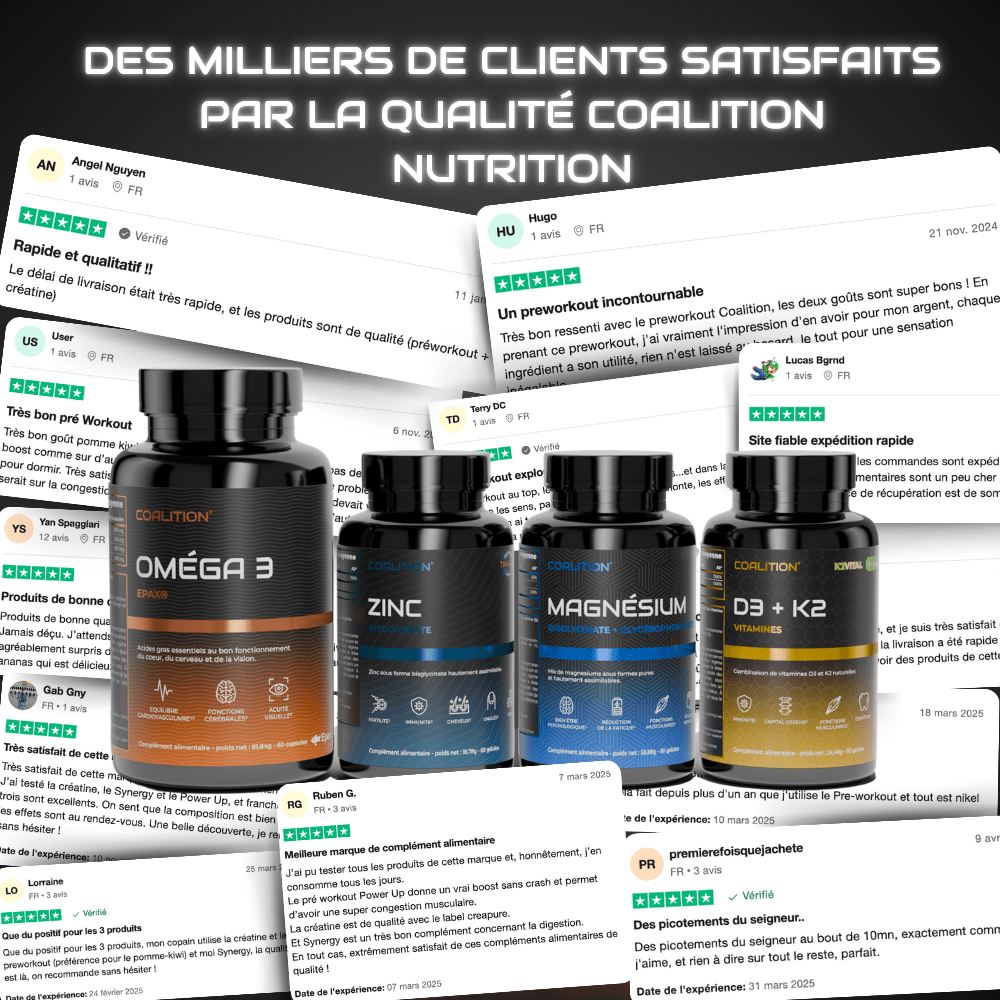 Pack FONDATIONS - Coalition