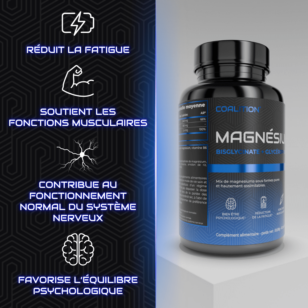 Pack FONDATIONS - Coalition